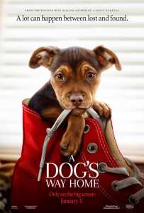 A Dog's Way Home online